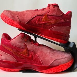 Nike Zoom Lebron Nxxt Gen Ampd James Gang University Red Size 10 (FJ1566-600)